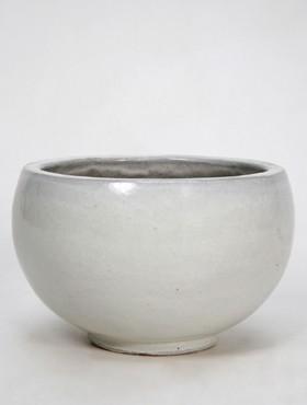 Bowl white
